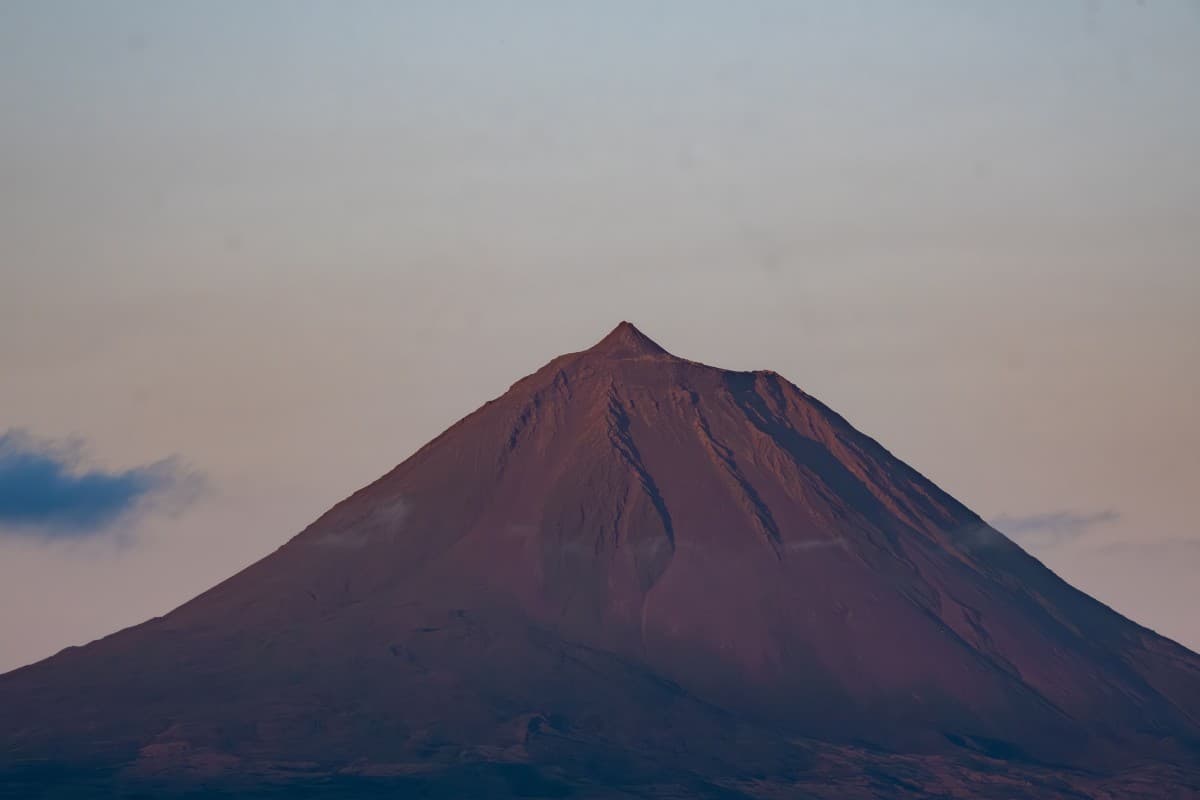 Pico