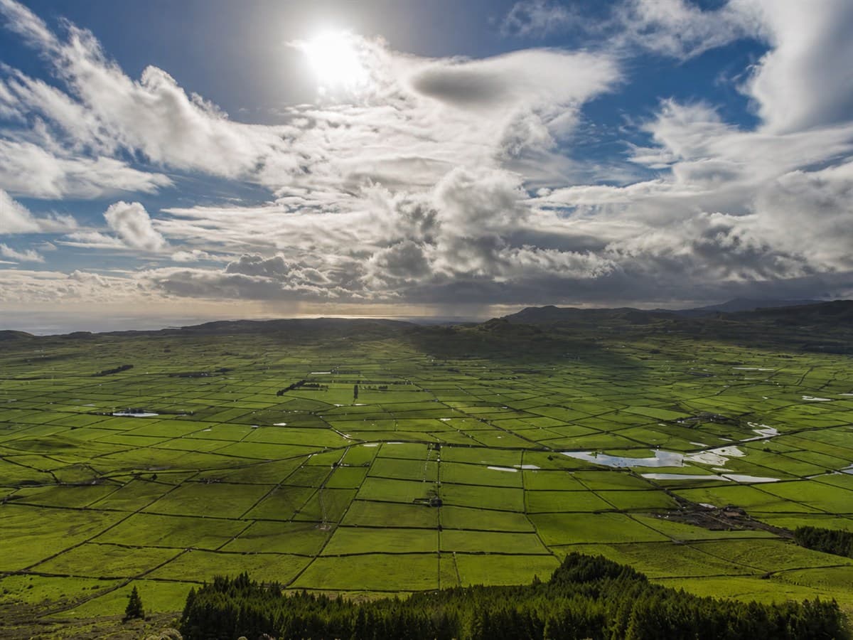 Terceira